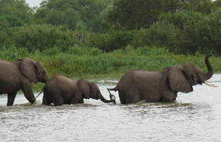 Relaxing Laos